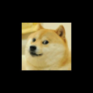 Meet your Posher, Garrett